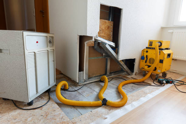 Best HVAC Mold Inspection and Cleaning  in St Charles, MI