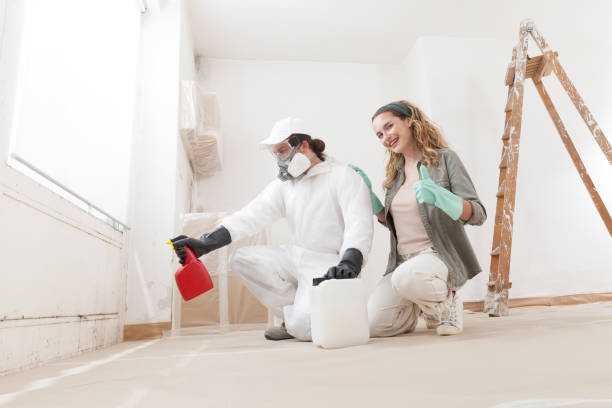 Best Basement Mold Removal  in St Charles, MI