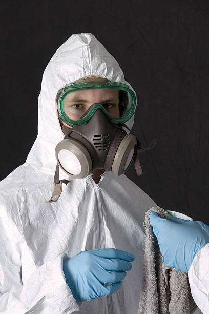 Best Mold Odor Removal Services  in St Charles, MI